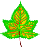 green leaf